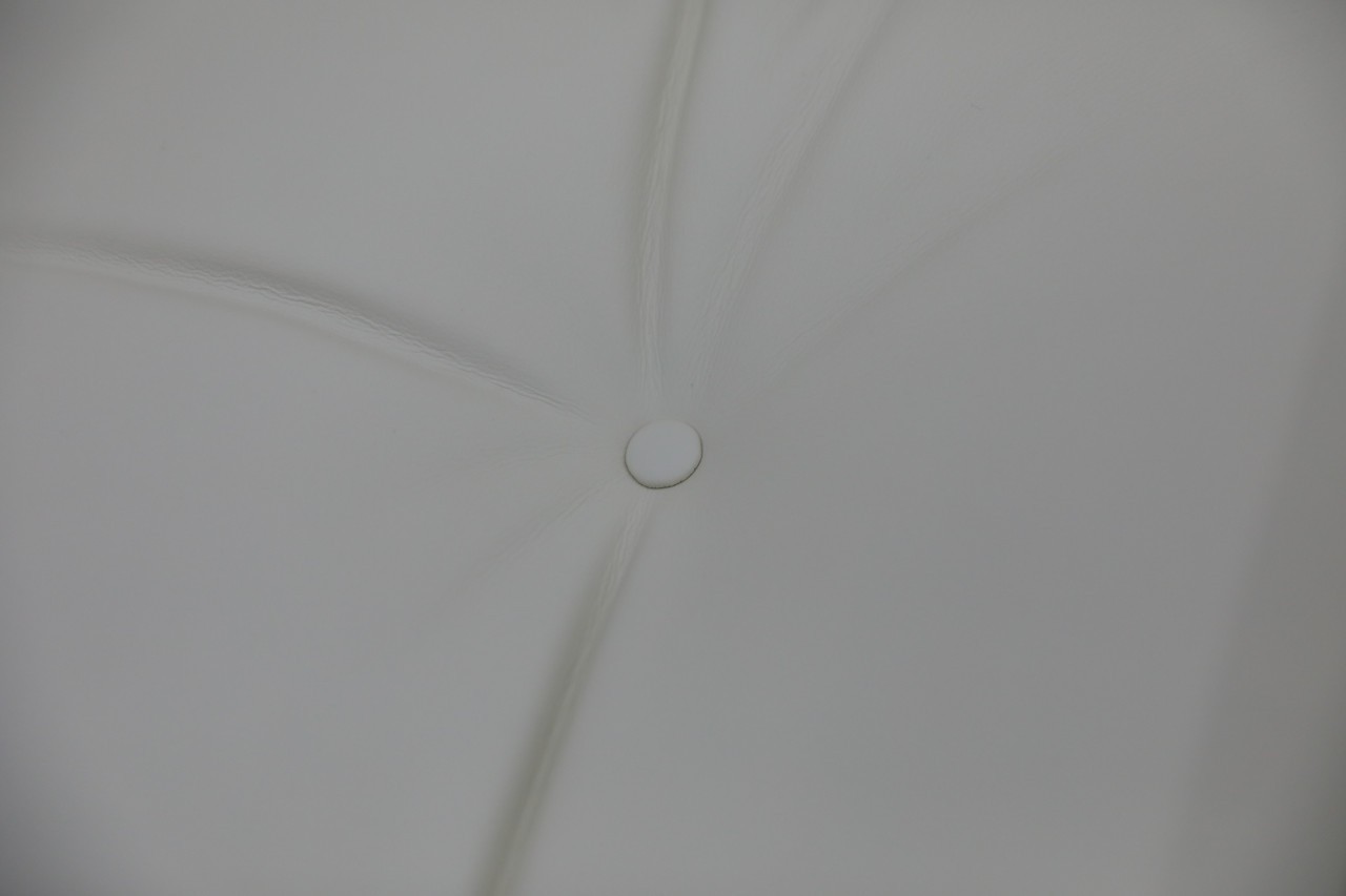 detail image